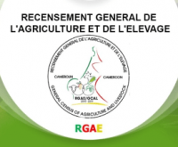 Logo Recruteur